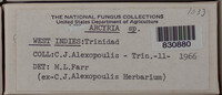 Image Associated With the Occurence